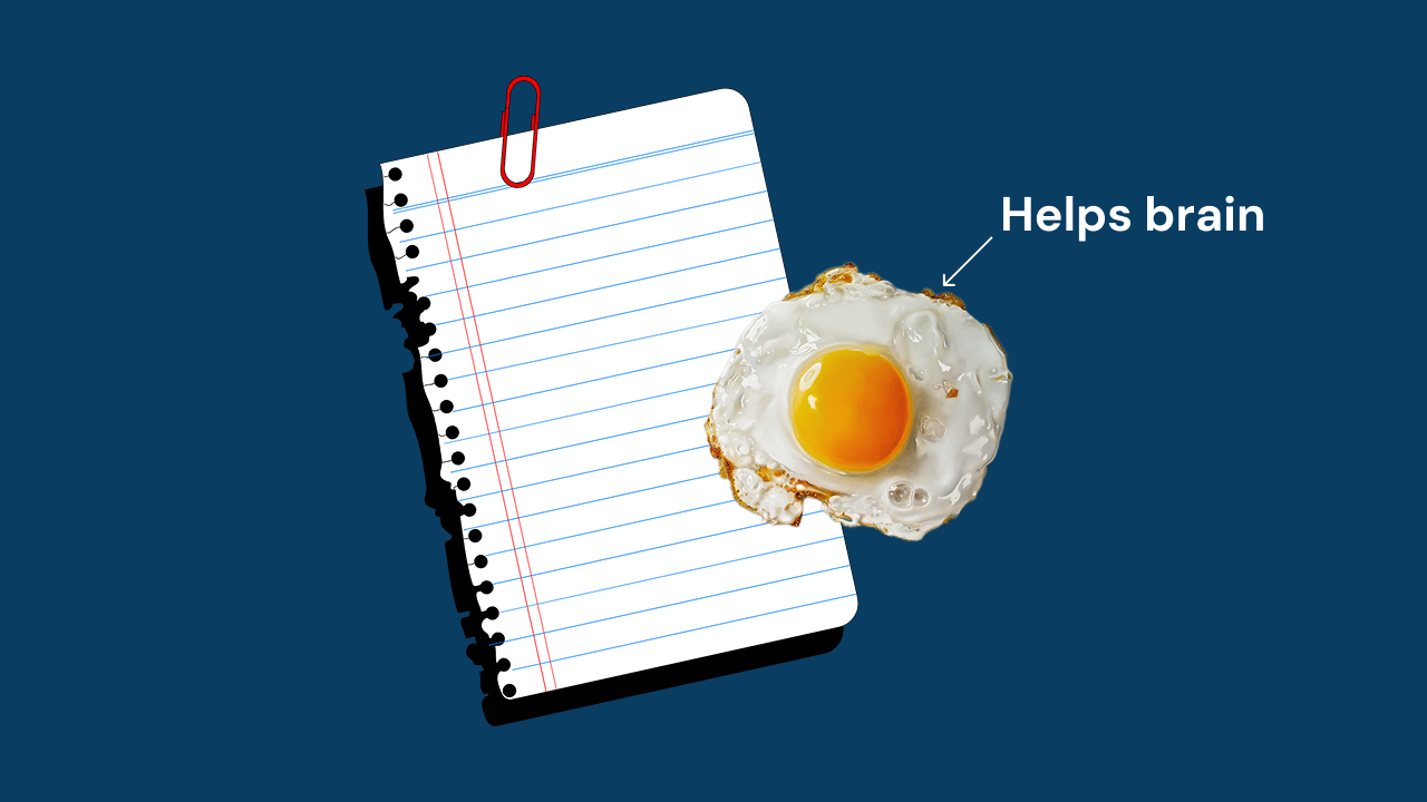 How to Take Smart Notes (That You Actually Revisit)